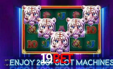 Descubra a Essência do 19BET: Nossa História e Compromissos
